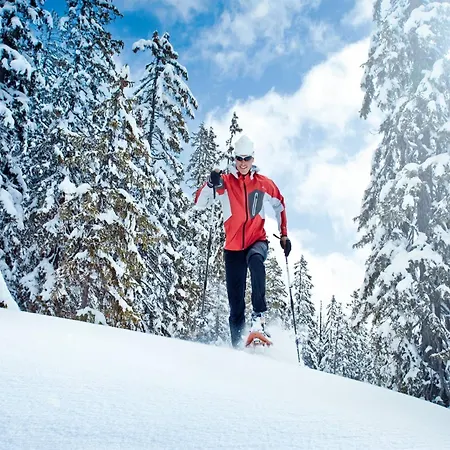 In Neukirchen Near Lift *